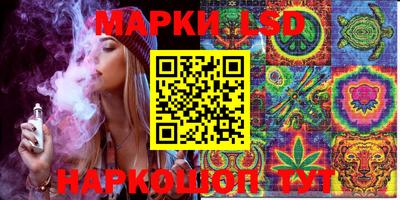 индика Ирбит