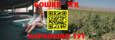 индика Ирбит