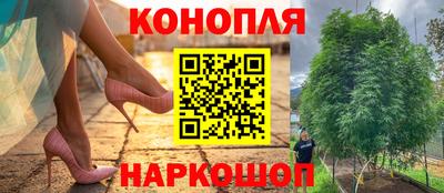 индика Ирбит