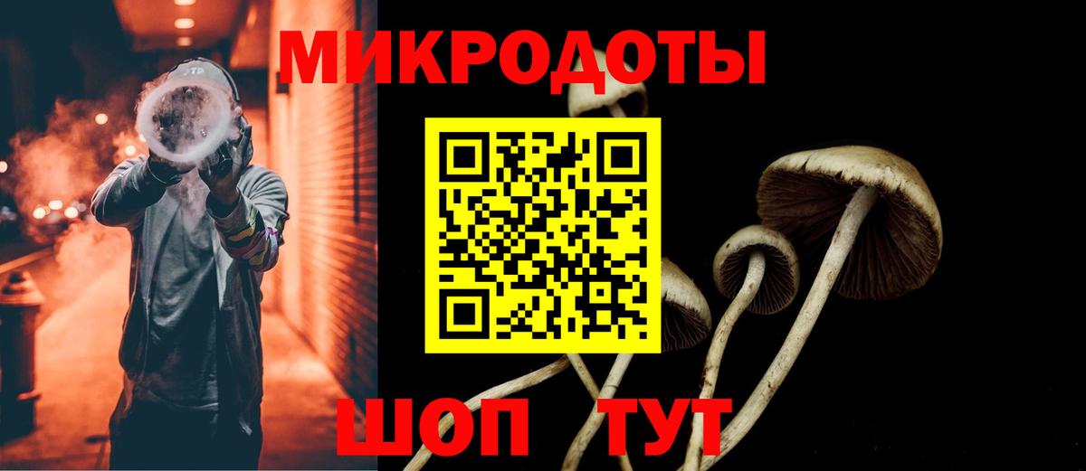 где найти наркотики  Псилоцибиновые грибы Psilocybe  Вход с VPN  Краснознаменск  Псилоцибиновые грибы мицелий 